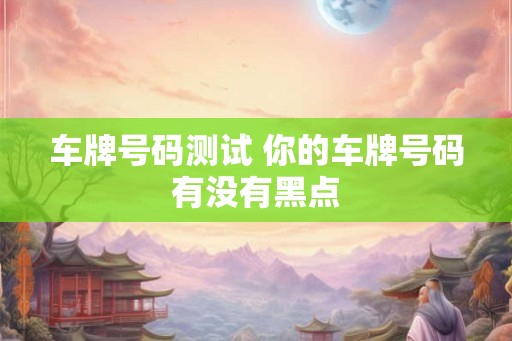 车牌号码测试 你的车牌号码有没有黑点