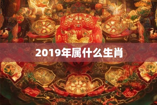 2019年属什么生肖
