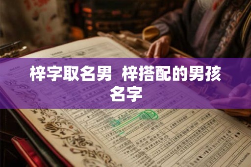 梓字取名男  梓搭配的男孩名字