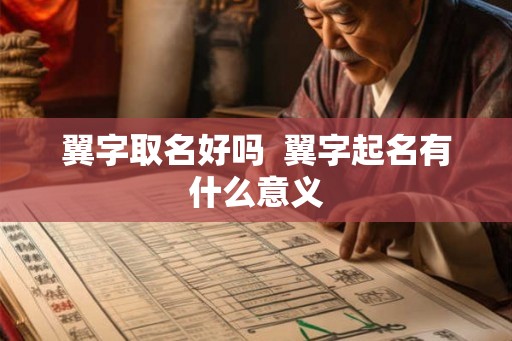 翼字取名好吗  翼字起名有什么意义