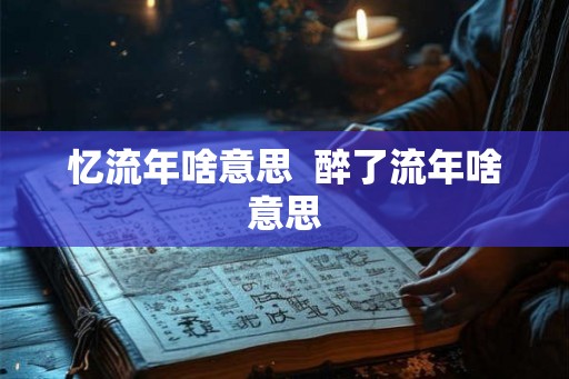 忆流年啥意思  醉了流年啥意思