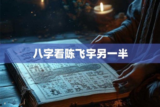 八字看陈飞宇另一半