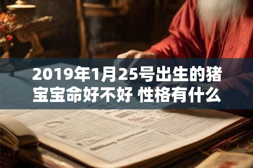 2019年1月25号出生的猪宝宝命好不好 性格有什么特点