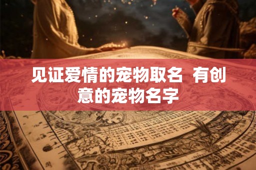 见证爱情的宠物取名  有创意的宠物名字