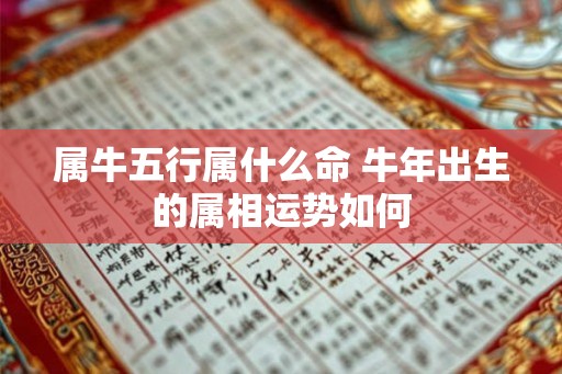 属牛五行属什么命 牛年出生的属相运势如何 属牛五行属什么命 牛年出生的属相运势如何