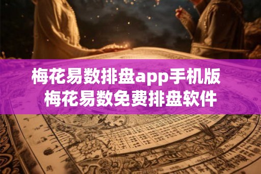 梅花易数排盘app手机版  梅花易数免费排盘软件