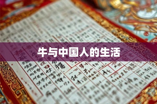 牛与中国人的生活