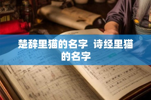 楚辞里猫的名字  诗经里猫的名字