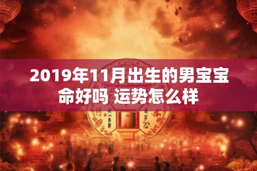 2019年11月出生的男宝宝命好吗 运势怎么样