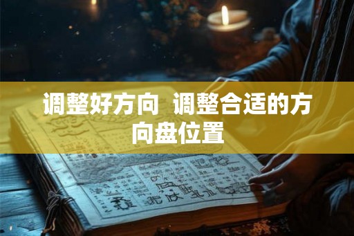 调整好方向  调整合适的方向盘位置