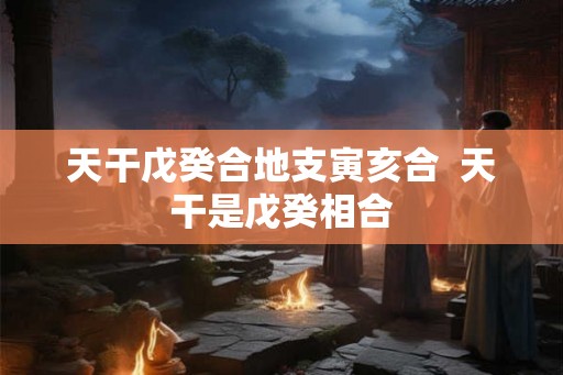 天干戊癸合地支寅亥合  天干是戊癸相合