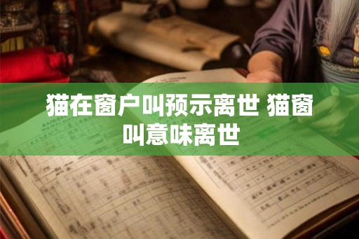 猫在窗户叫预示离世 猫窗叫意味离世