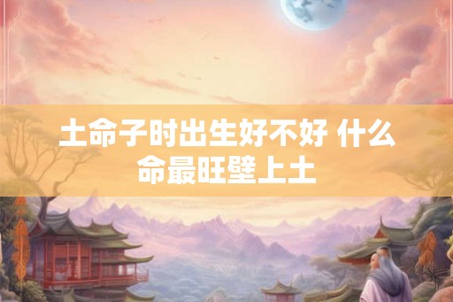 土命子时出生好不好 什么命最旺壁上土