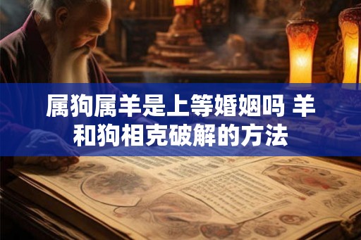 属狗属羊是上等婚姻吗 羊和狗相克破解的方法