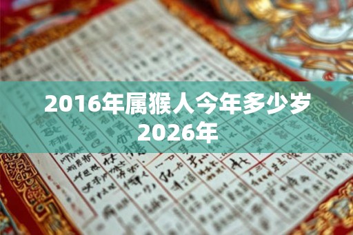 2016年属猴人今年多少岁2026年