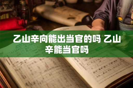 乙山辛向能出当官的吗 乙山辛能当官吗