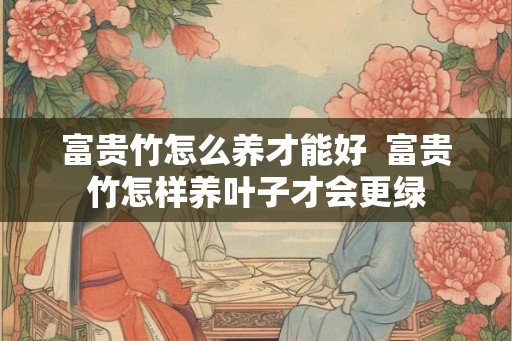 富贵竹怎么养才能好  富贵竹怎样养叶子才会更绿