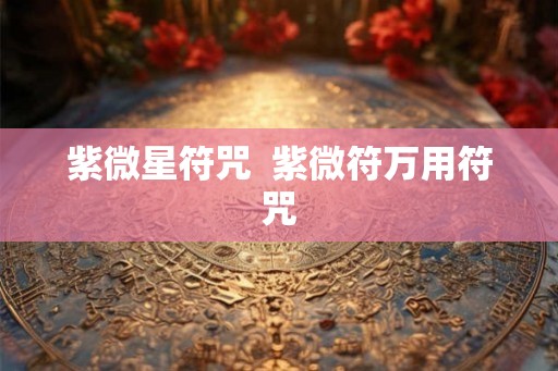 紫微星符咒  紫微符万用符咒