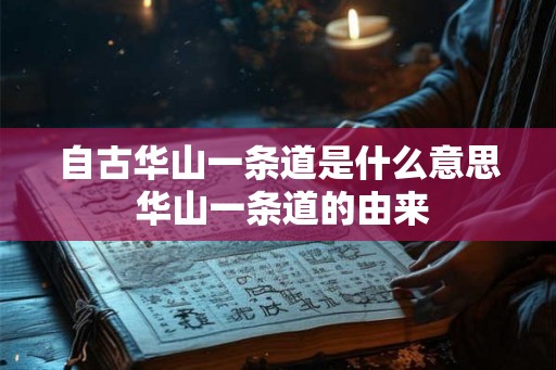 自古华山一条道是什么意思 华山一条道的由来