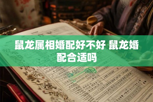 鼠龙属相婚配好不好 鼠龙婚配合适吗
