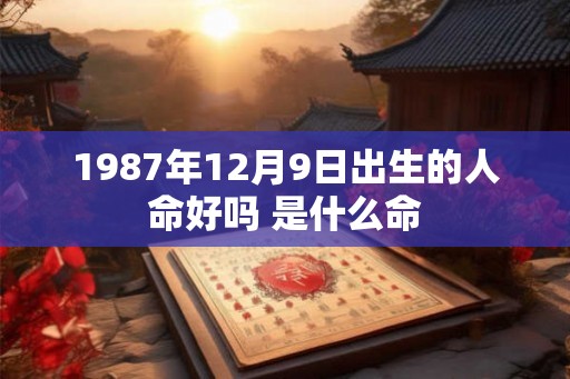 1987年12月9日出生的人命好吗 是什么命