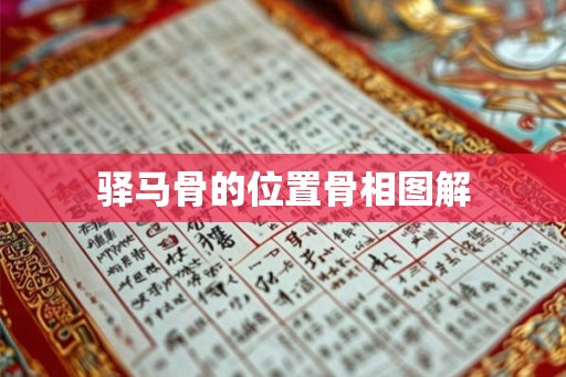 驿马骨的位置骨相图解