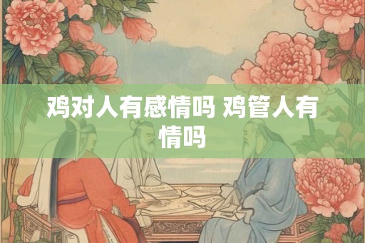 鸡对人有感情吗 鸡管人有情吗