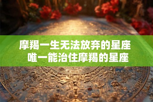 摩羯一生无法放弃的星座 唯一能治住摩羯的星座 摩羯一生无法放弃的星座 唯一能治住摩羯的星座