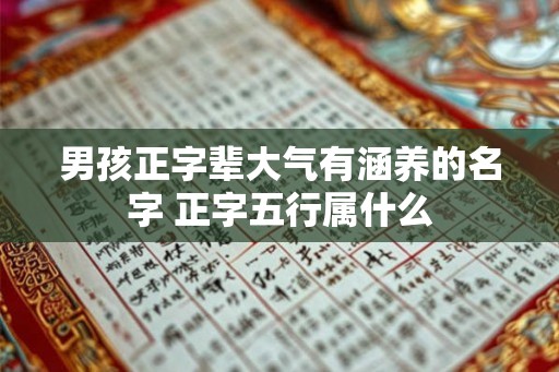 男孩正字辈大气有涵养的名字 正字五行属什么 男孩正字辈大气有涵养的名字 正字五行属什么