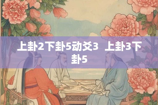 上卦2下卦5动爻3  上卦3下卦5