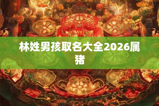 林姓男孩取名大全2026属猪