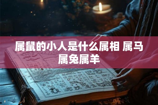 属鼠的小人是什么属相 属马属兔属羊