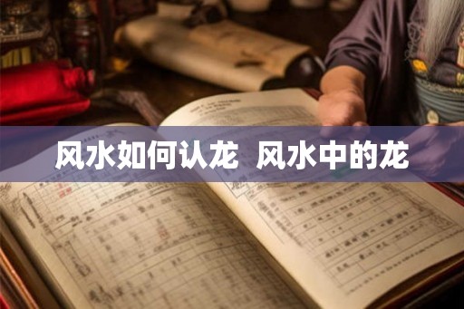 风水如何认龙  风水中的龙