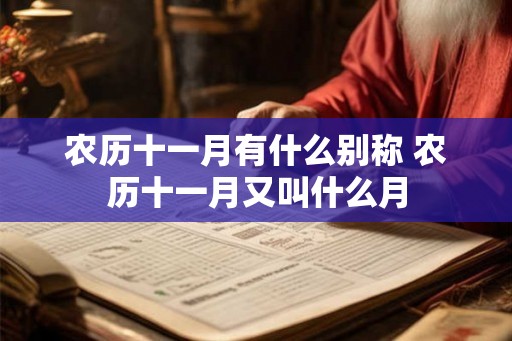 农历十一月有什么别称 农历十一月又叫什么月 农历十一月有什么别称 农历十一月又叫什么月