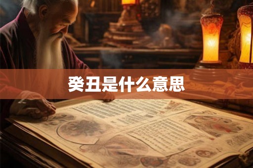 癸丑是什么意思