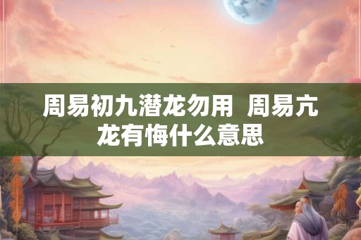 周易初九潜龙勿用  周易亢龙有悔什么意思