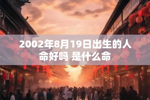 2002年8月19日出生的人命好吗 是什么命
