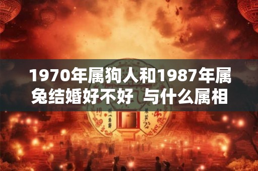 1970年属狗人和1987年属兔结婚好不好  与什么属相婚配最好