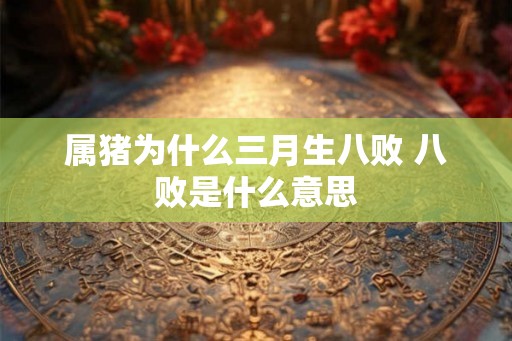 属猪为什么三月生八败 八败是什么意思