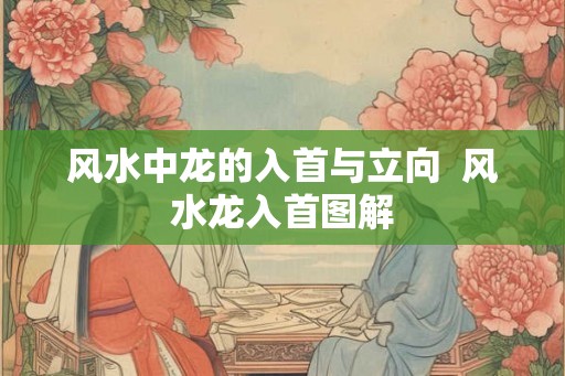 风水中龙的入首与立向 风水龙入首图解 风水中龙的入首与立向 风水龙入首图解