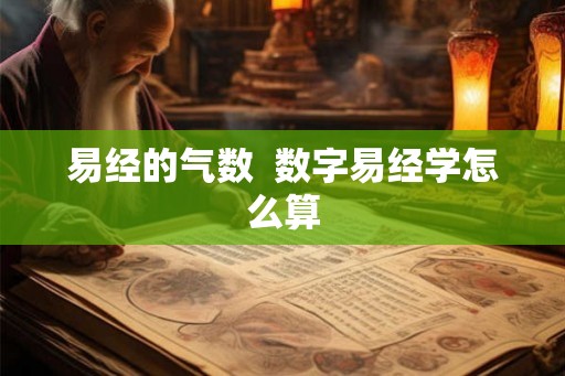 易经的气数  数字易经学怎么算