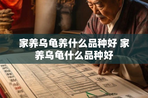 家养乌龟养什么品种好 家养乌龟什么品种好