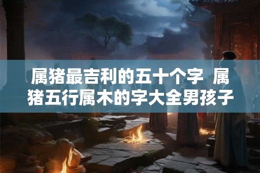 属猪最吉利的五十个字  属猪五行属木的字大全男孩子
