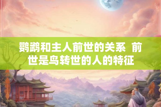 鹦鹉和主人前世的关系  前世是鸟转世的人的特征