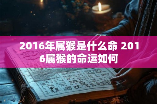 2016年属猴是什么命 2016属猴的命运如何 2016年属猴是什么命 2016属猴的命运如何
