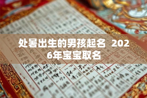 处暑出生的男孩起名  2026年宝宝取名