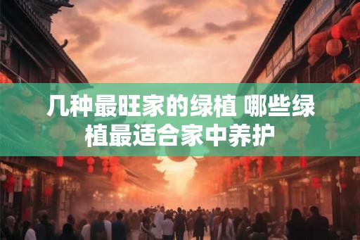 几种最旺家的绿植 哪些绿植最适合家中养护