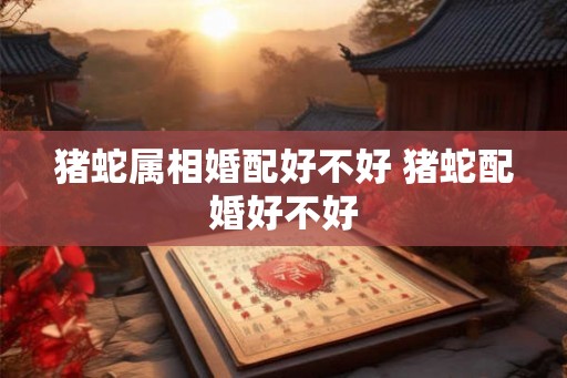 猪蛇属相婚配好不好 猪蛇配婚好不好