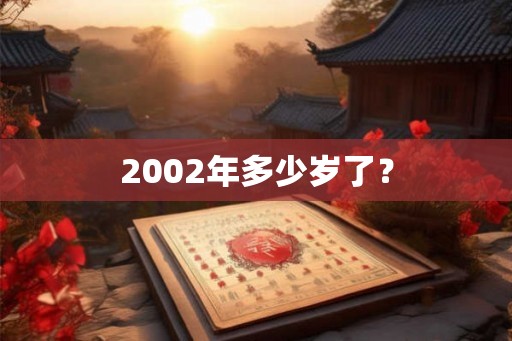 2002年多少岁了？