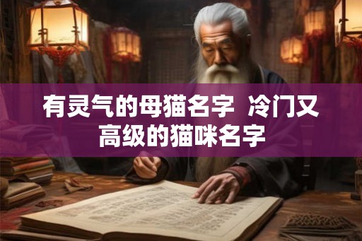 有灵气的母猫名字 冷门又高级的猫咪名字 有灵气的母猫名字 冷门又高级的猫咪名字